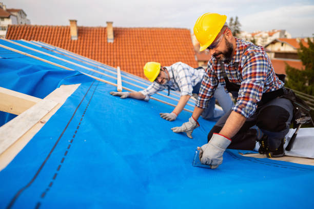 Roof Gutter Cleaning in Carmichael, CA